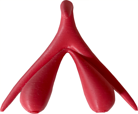 selbstbewusste Frau Frauenarzt Neuruppin